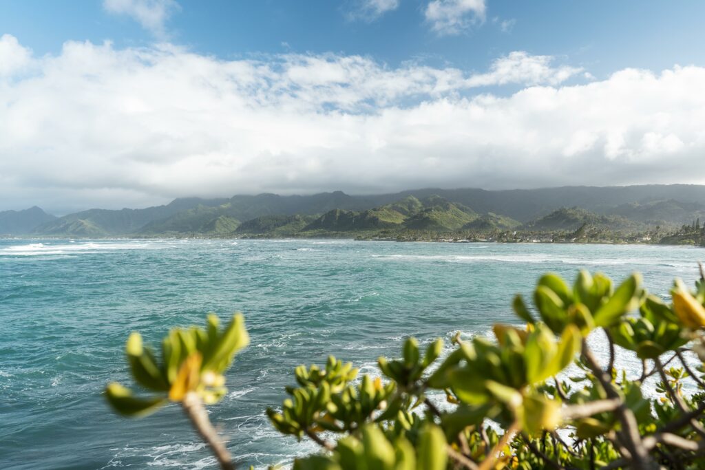 Bahía de las Águilas beach with white sand and clear water