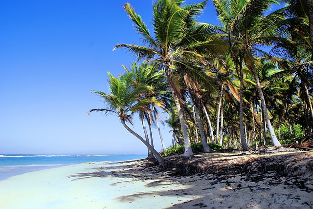 Playa Grande beach with golden sand and azure waters