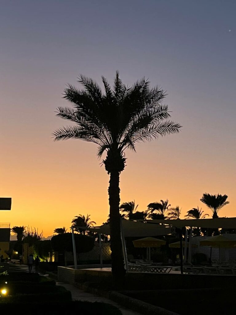 Night view of Hurghada, Egypt, with lights reflecting on the Red Sea